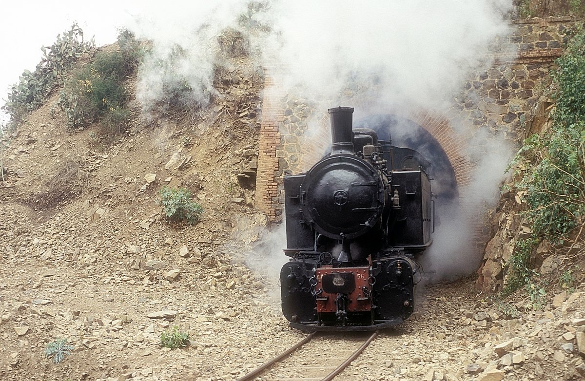 442 56  bei Arbaroba  20.12.12