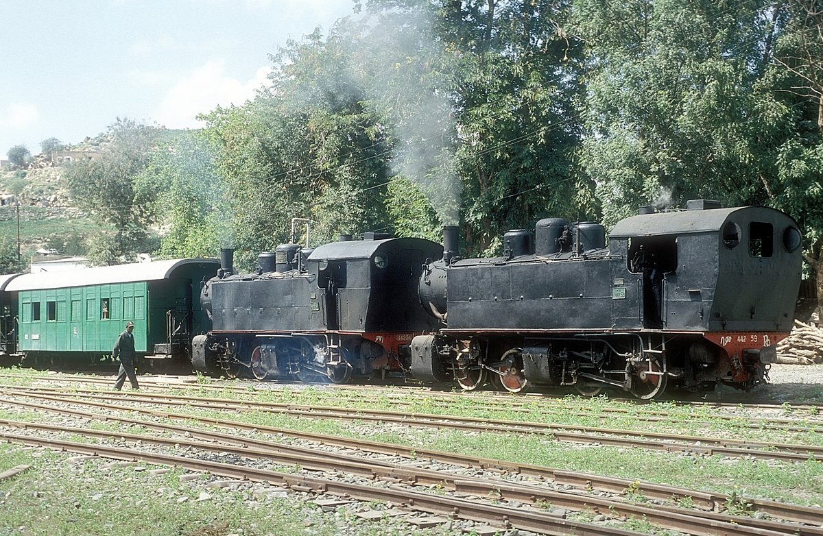 442 59 + 442 54  Ghinda  07.02.05