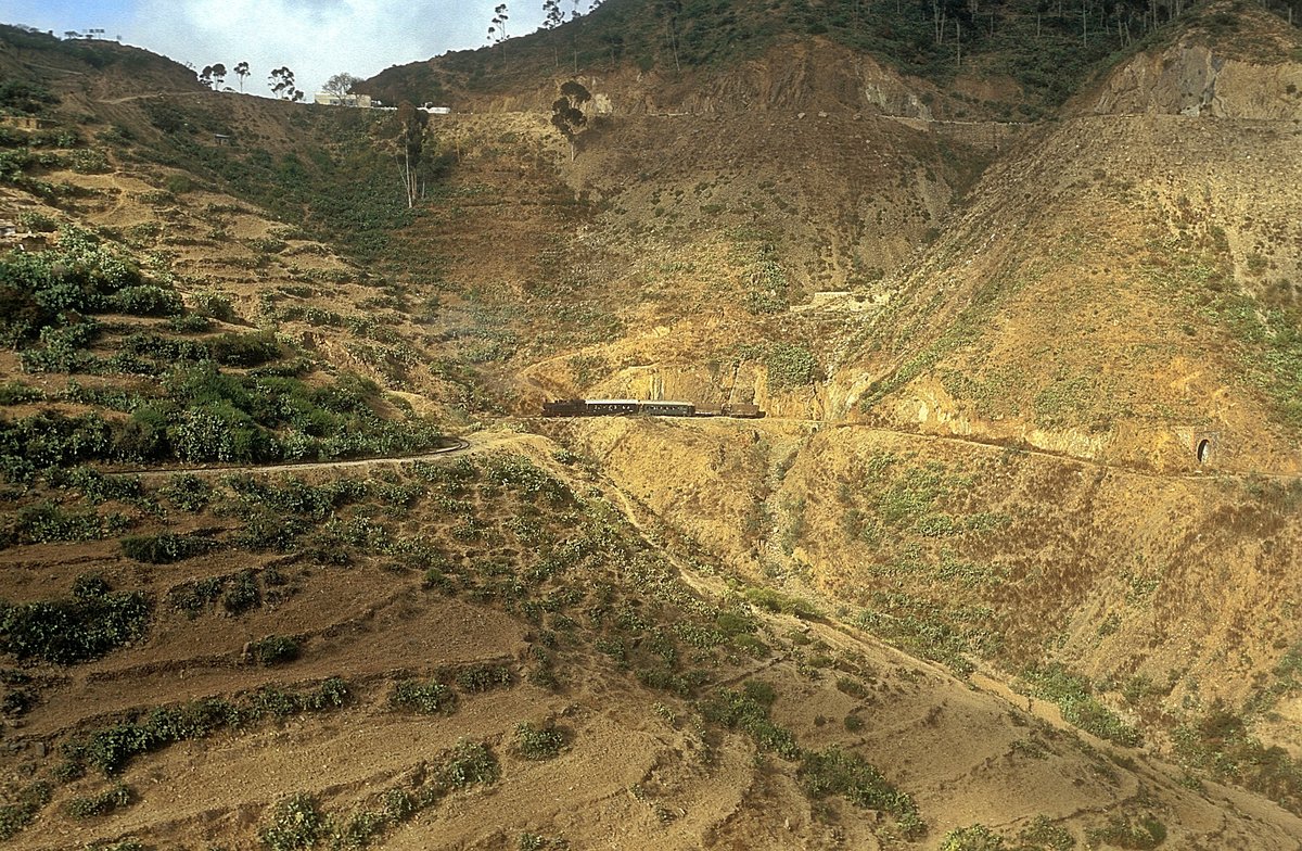 442 59  bei Shegerini  02.02.12