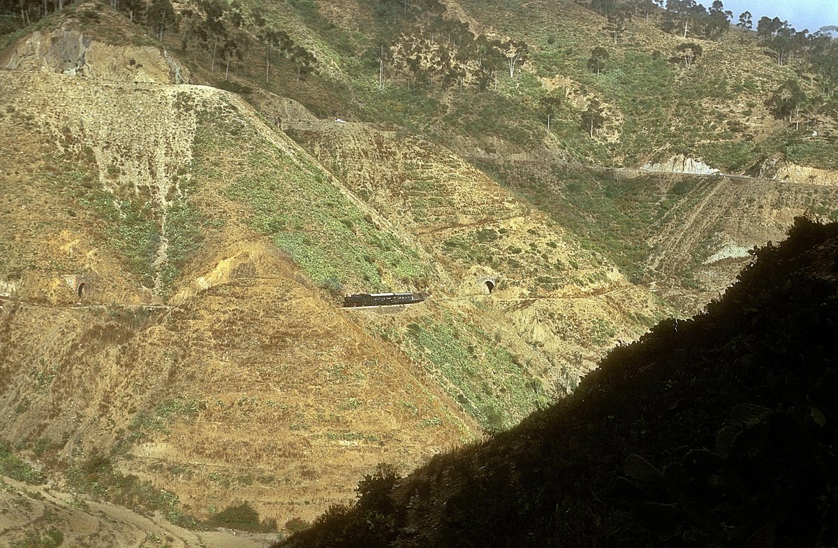 442 59  bei Shegerini  02.02.12