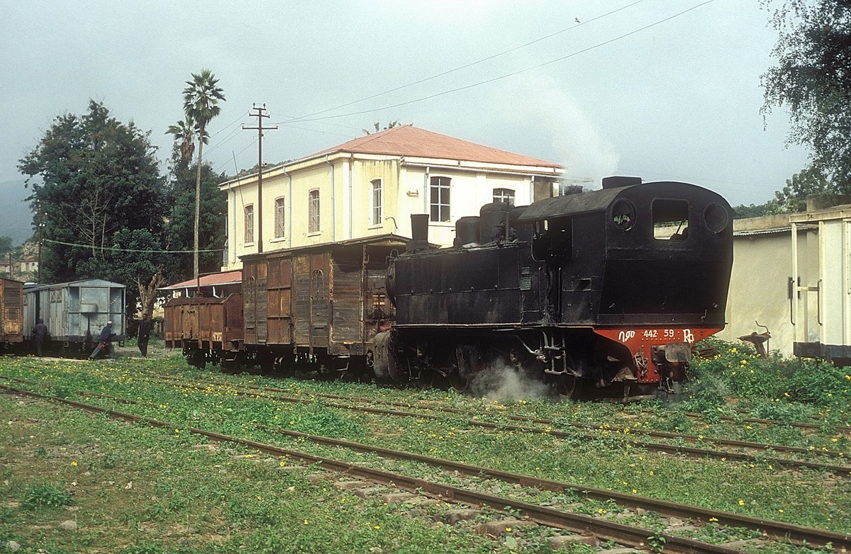 442 59   Ghinda  10.02.05