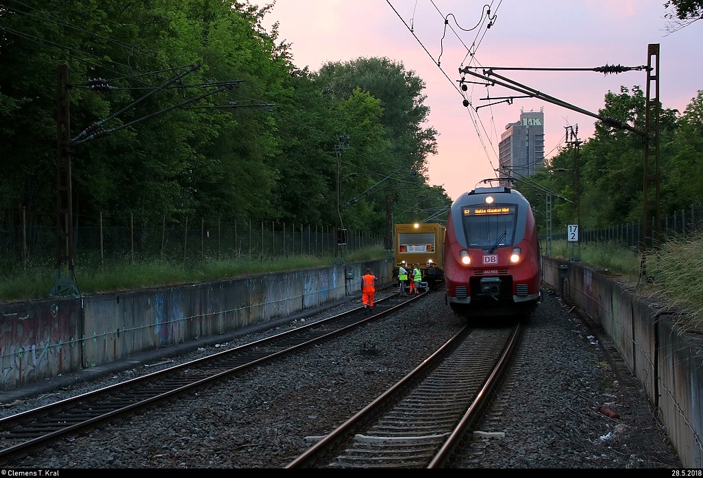 442 602 (Bombardier Talent 2) der S-Bahn Mitteldeutschland (DB Regio Südost) als S 37767 (S7) von Halle-Nietleben nach Halle(Saale)Hbf Gl. 13a erreicht während Schienenfräsarbeiten den Hp Halle Zscherbener Straße auf der Bahnstrecke Merseburg–Halle-Nietleben (KBS 588).
[28.5.2018 | 20:55 Uhr]
