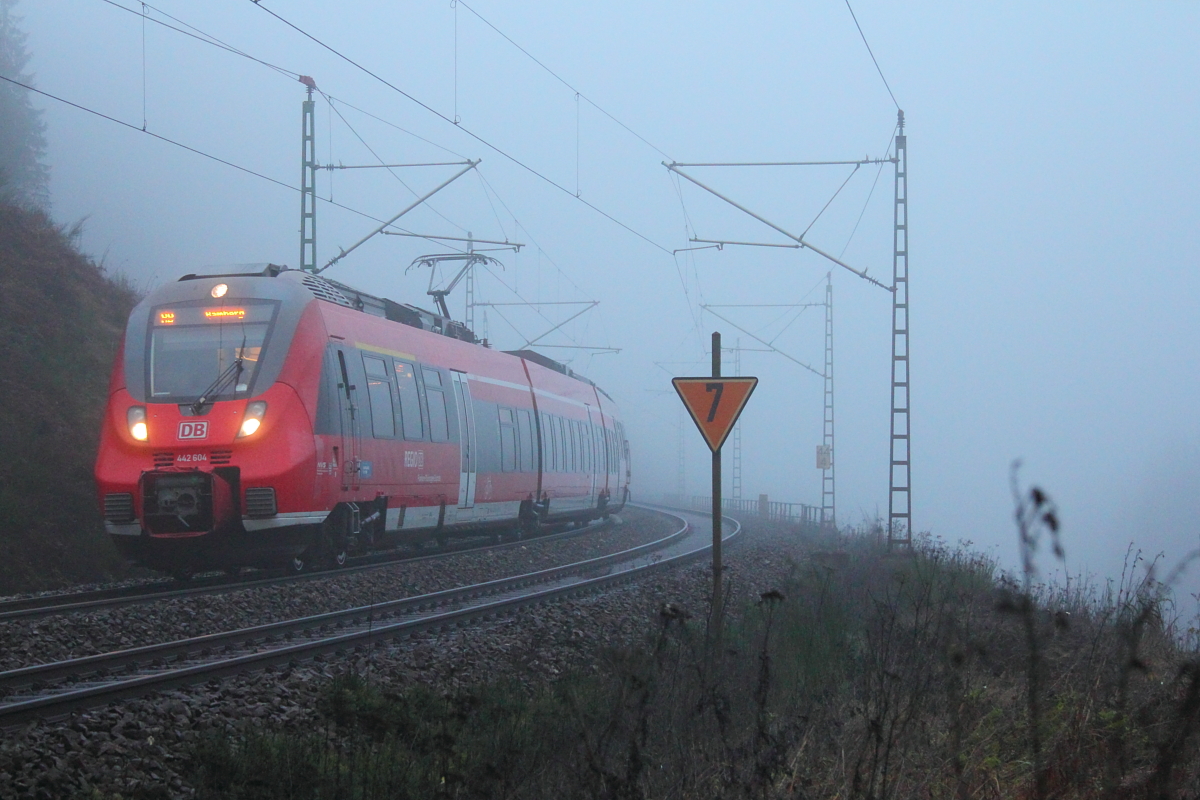 442 604 DB Regio im Nebel bei Steinbach im Frankenwald am 24.11.2016.