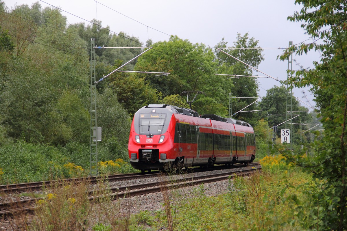 442 605 DB Regio bei Michelau am 06.09.2015.