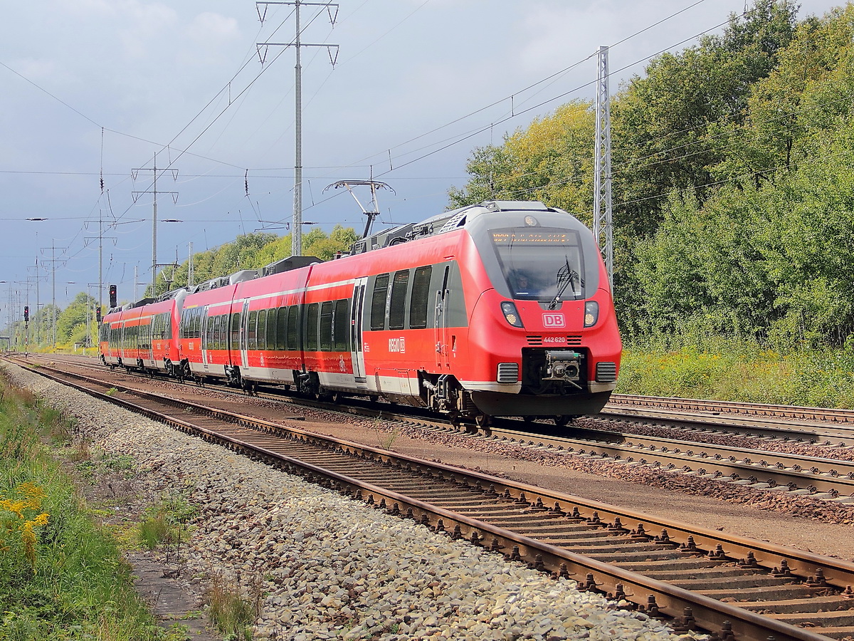 442 620 und 442 132 als RB 22 aus Potsdam in Richtung Berlin Sch�nefeld Flughafen bei Diedersdorf auf dem s�dlichen Berliner Au�enring am 16. September 2013.