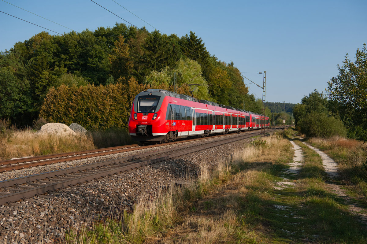 442 720 als S3 39364 von Neumarkt (Oberpf) nach Nürnberg Hbf bei Postbauer-Heng, 28.08.2018