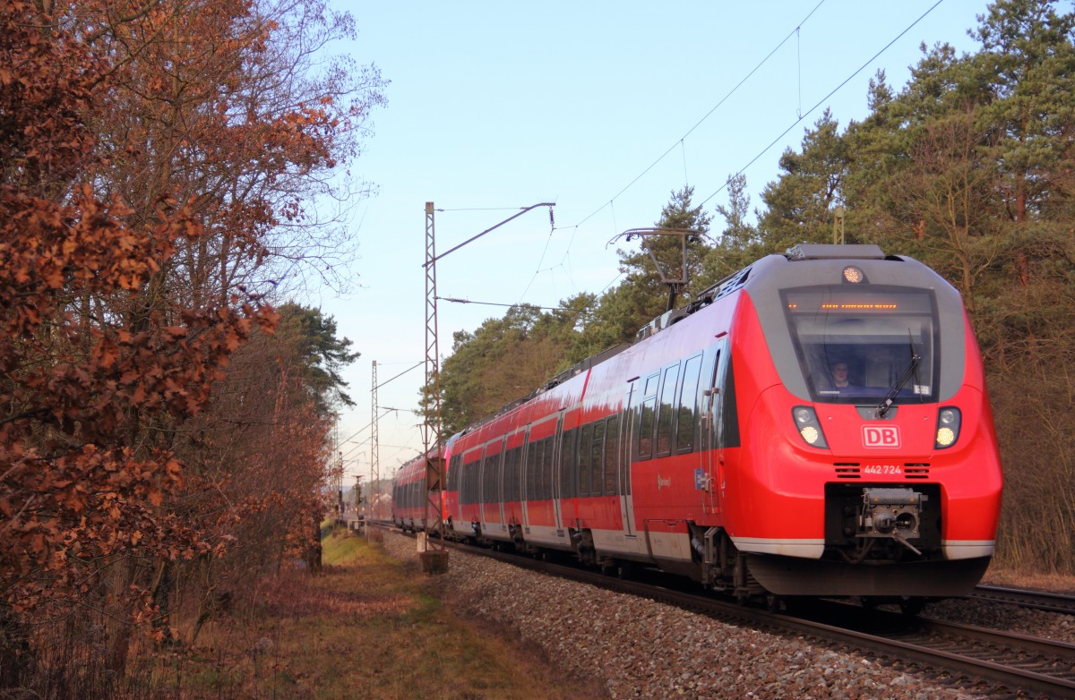 442 724 DB Regio bei Strullendorf am 07.01.2014.