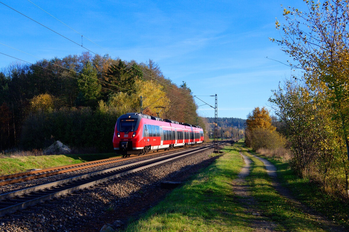 442 767 DB Regio als S3 (Neumarkt (Oberpf) - Nürnberg Hbf) bei Postbauer-Heng, 14.11.2020