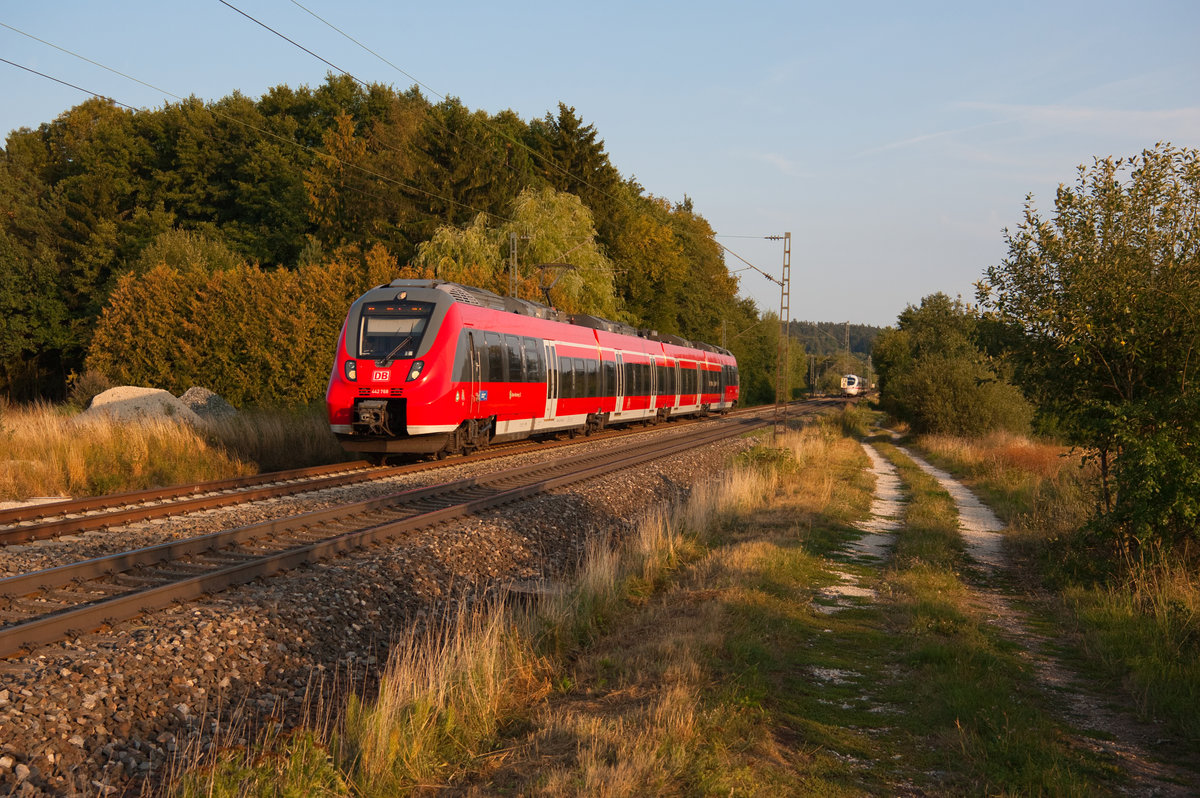 442 768 als S3 39374 von Neumarkt (Oberpf) nach Nürnberg Hbf bei Postbauer-Heng, 28.08.2018