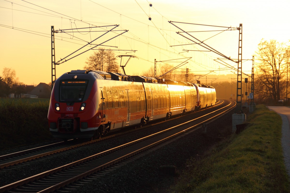 442 772 DB Regio bei Staffelstein am 02.12.2013.