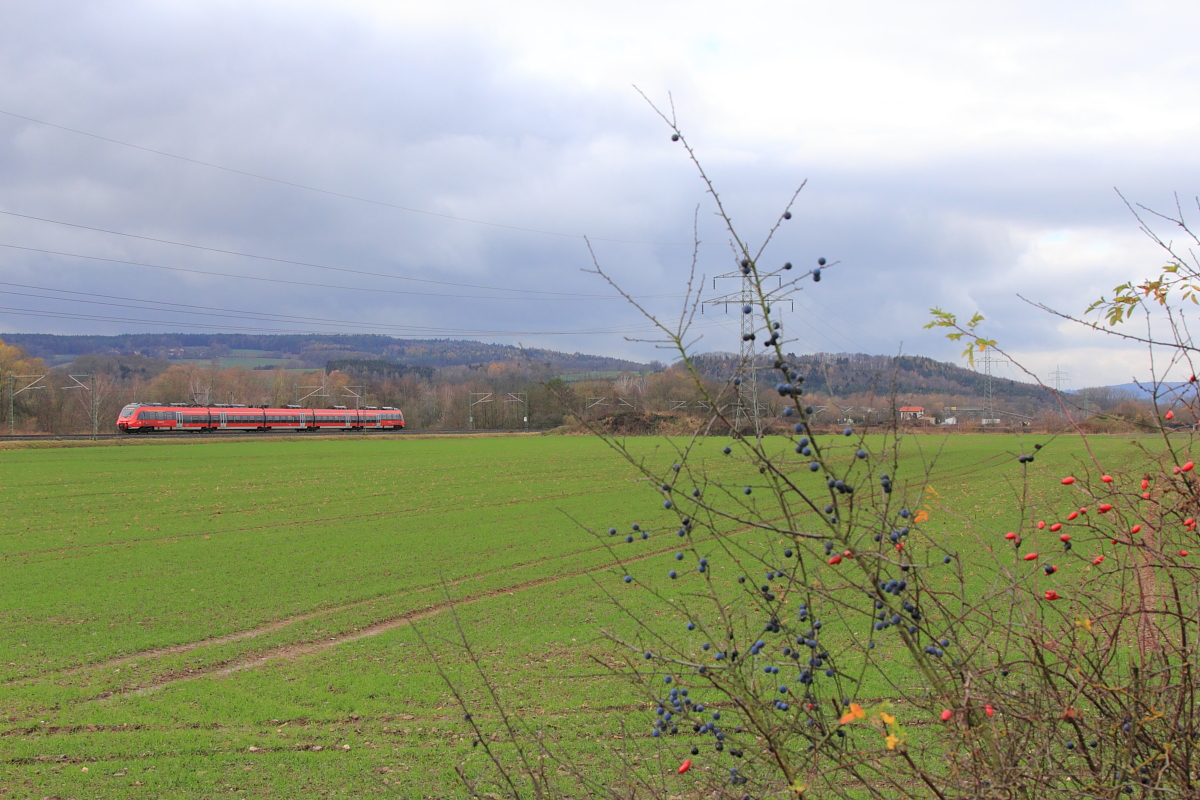 442 773 DB Regio bei Gruben am 21.11.2015.