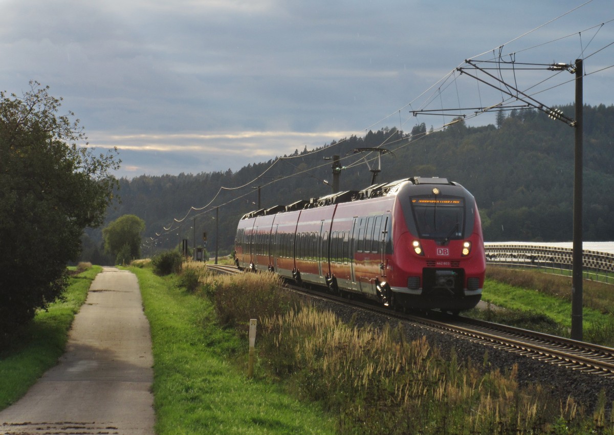 442 803 ist am 23.September 2015 als RE 59326 nach Sonneberg(Thür)Hbf bei Haarbücken unterwegs. Grüße zurück!
