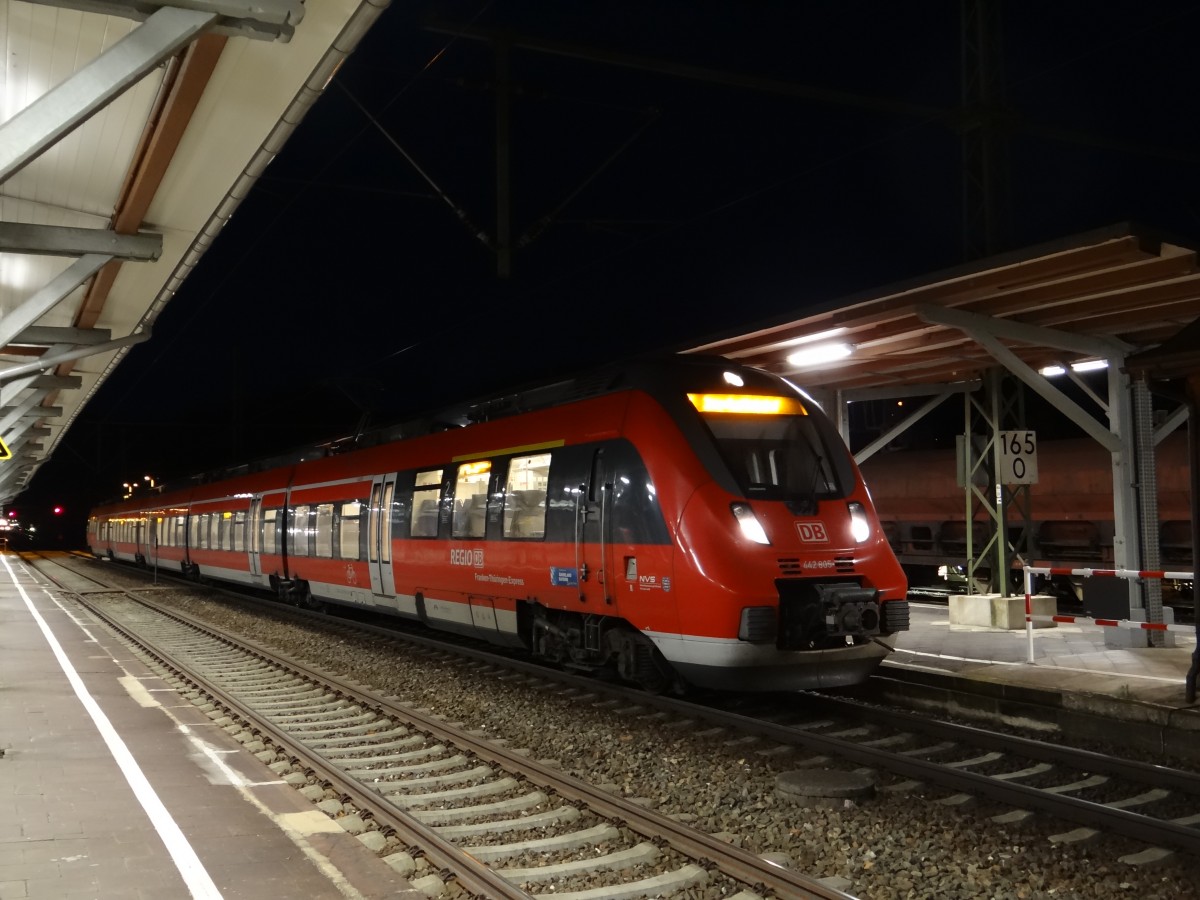 442 805 zusehen am 26.10.13 in Probstzella.