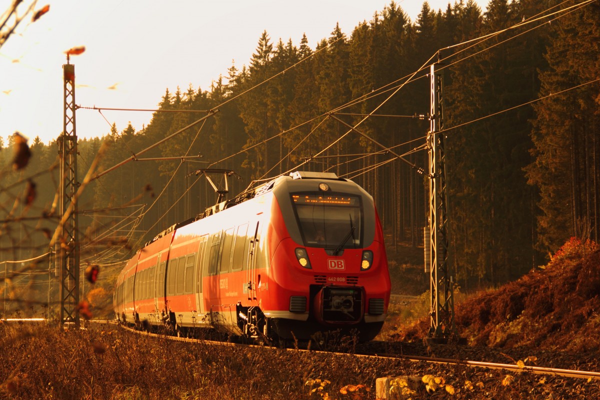 442 808 DB Regio auf der Frankenwaldrampe bei Steinbach am 12.11.2014.