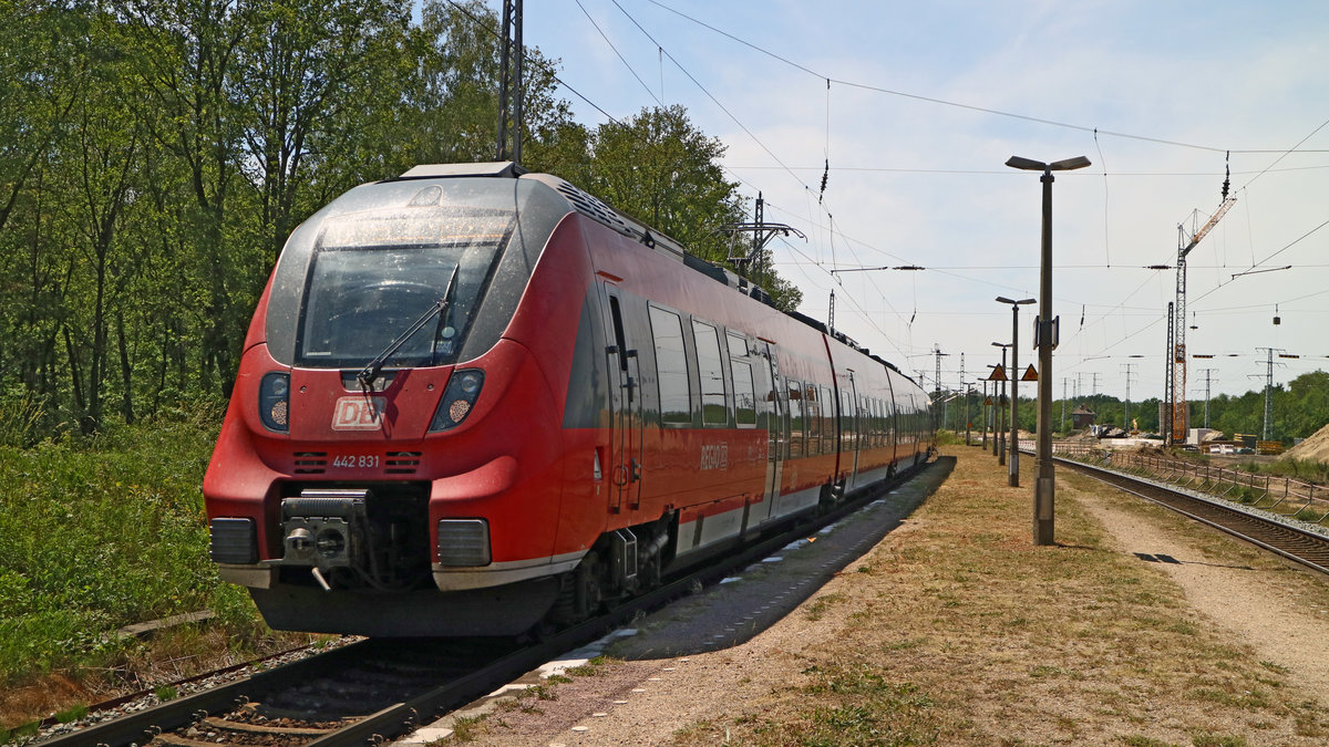 442 831 durchfährt hier den Haltepunkt Meinsdorf auf dem Weg nach Wünstdorf-Waldstadt von Dessau kommend. (09.06.2019)