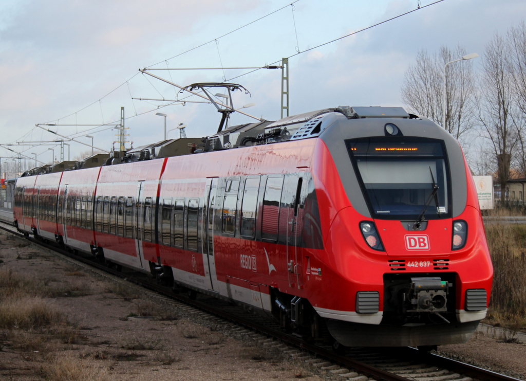 442 837-1 als S 1 von Rostock Hbf nach Warnemnde bei der Einfahrt im Haltepunkt Warnemnde Werft am 23.12.2013 