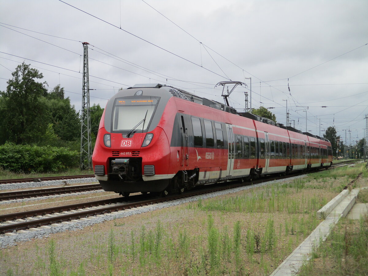 442 853,als RE Neustrelitz-Stralsund,am 31.Juli 2023,bei der Einfahrt in den Bahnhof Grimmen.