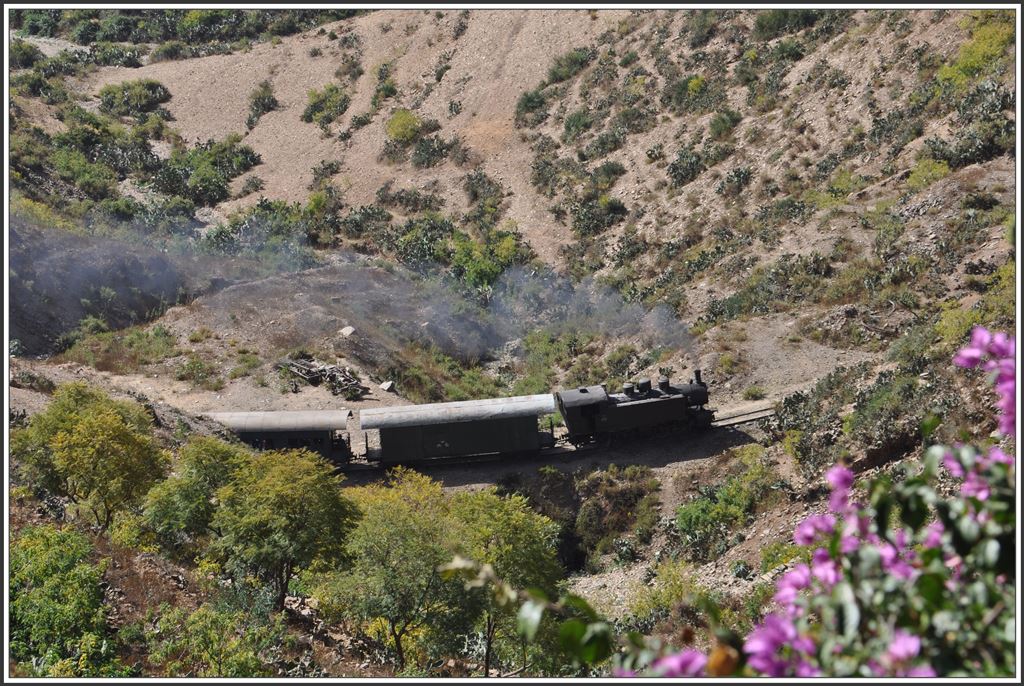 442.55 mit einem Personenzug unterhalb von Shegerini. (10.12.2014)