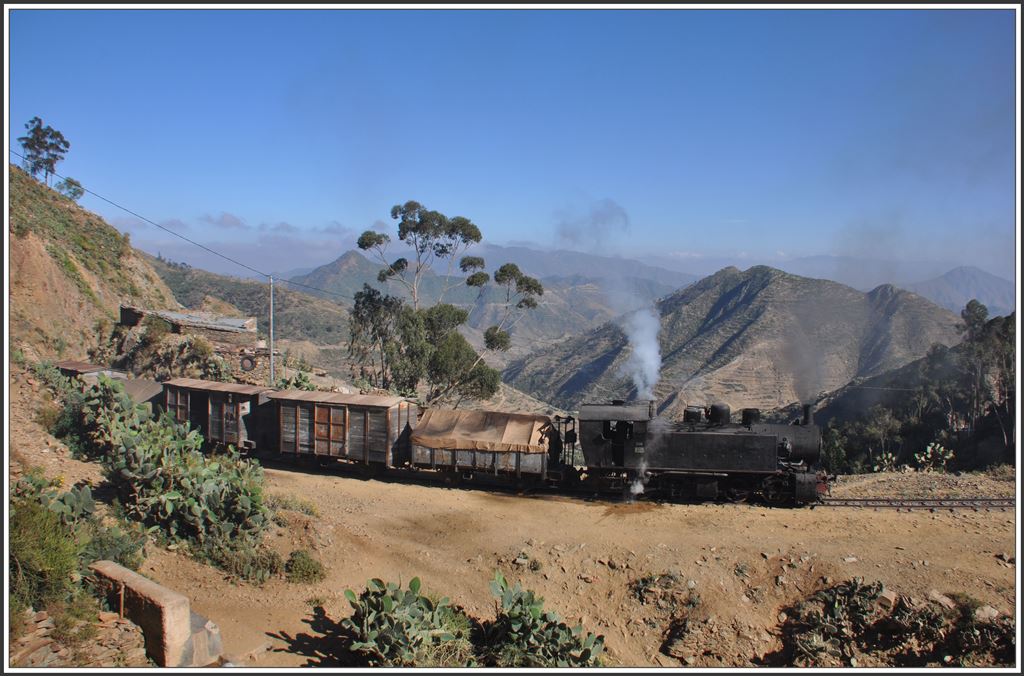 442.55 mit Güterzug bei Shegerini. (07.12.2014)