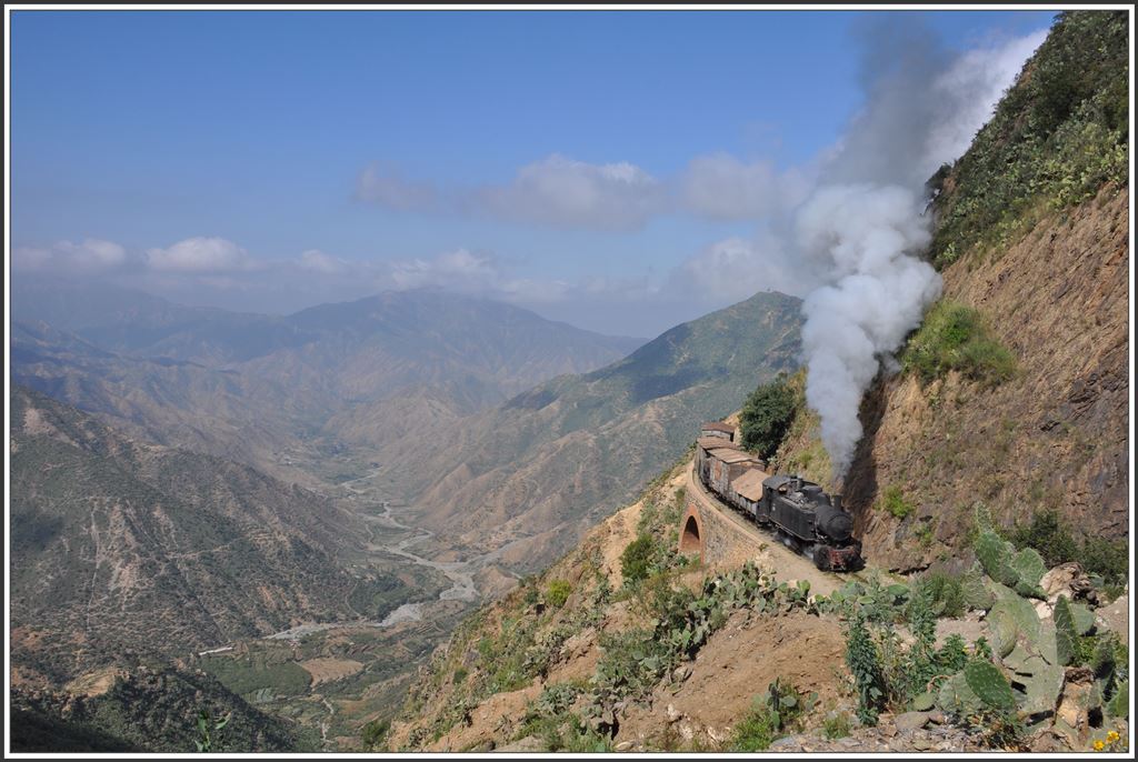 442.55 mit Güterzug in der Teufelskurve bei Shegerini. (08.12.2014)