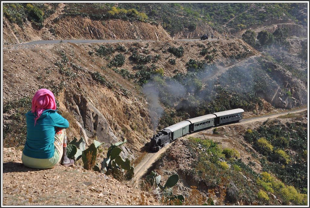 442.55 mit Personenzug unterhalb von Shegerini, beobachtet von einer Einheimischen.(10.12.2014)