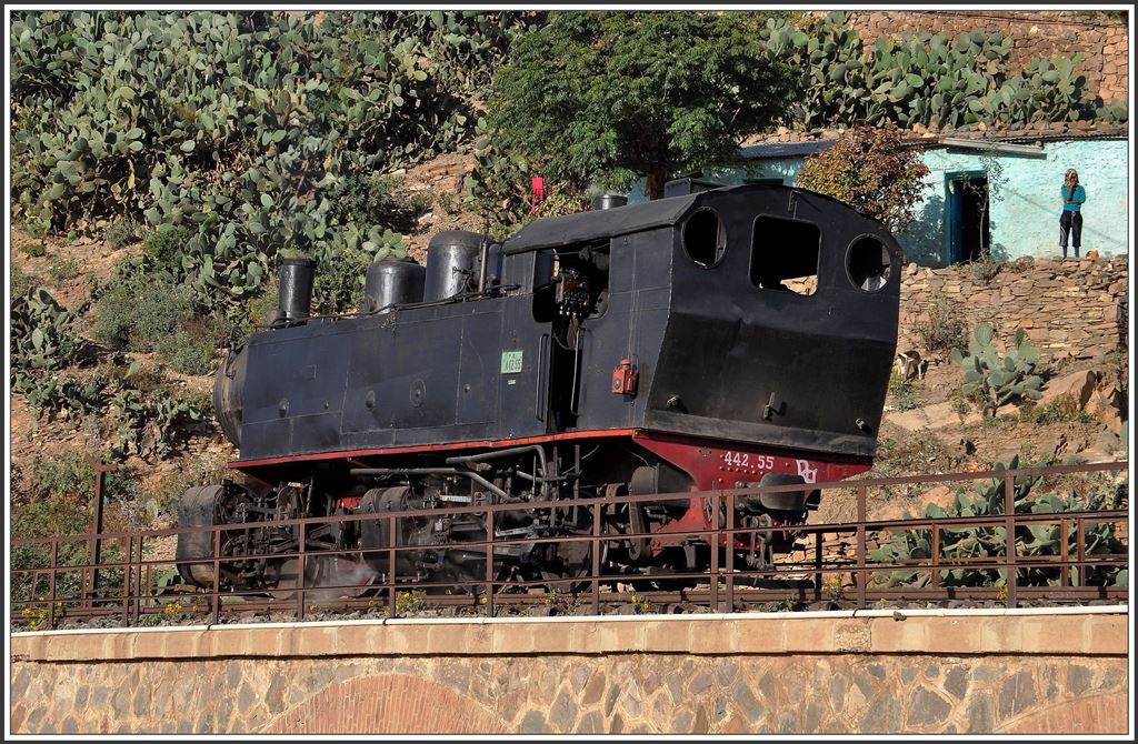 442.55 rangiert auf dem Viadukt von Arbaroba. (08.12.2014)