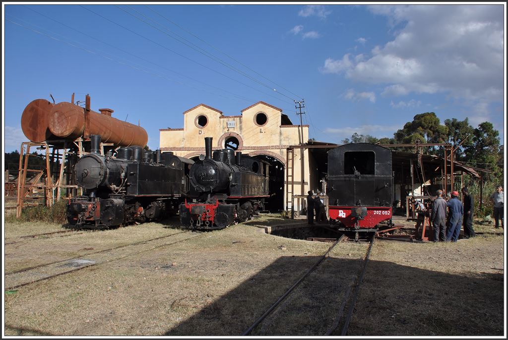 442.59, 440.008 und 202.002 vor dem Lokdepot Asmara. (09.12.2014)