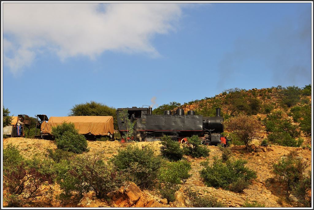 442.59 am Steilhang zwischen Embatkala und Nefasit. (05.12.2014)