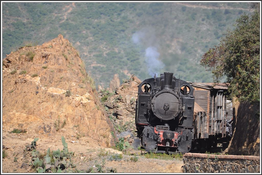442.59 erreicht mit einem Güterzug die Teufelskurve bei Shegerini. (10.12.2014)