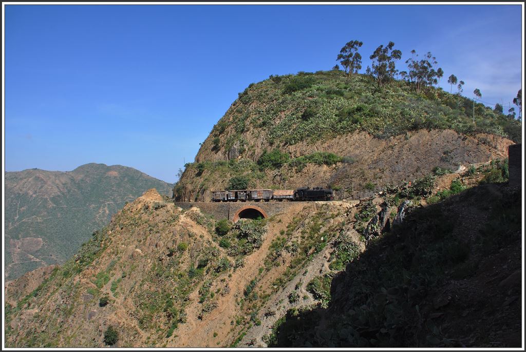 442.59 mit einem Güterzug in der Teufelskurve oberhalb von Shegerini. (10.12.2014)