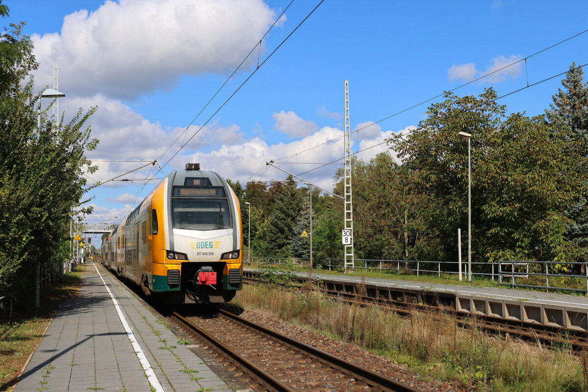 445 103 im Bahnhof Dabendorf am 24. September 2023 zur Weiterfahrt nach Wünsdorf Waldstadt.