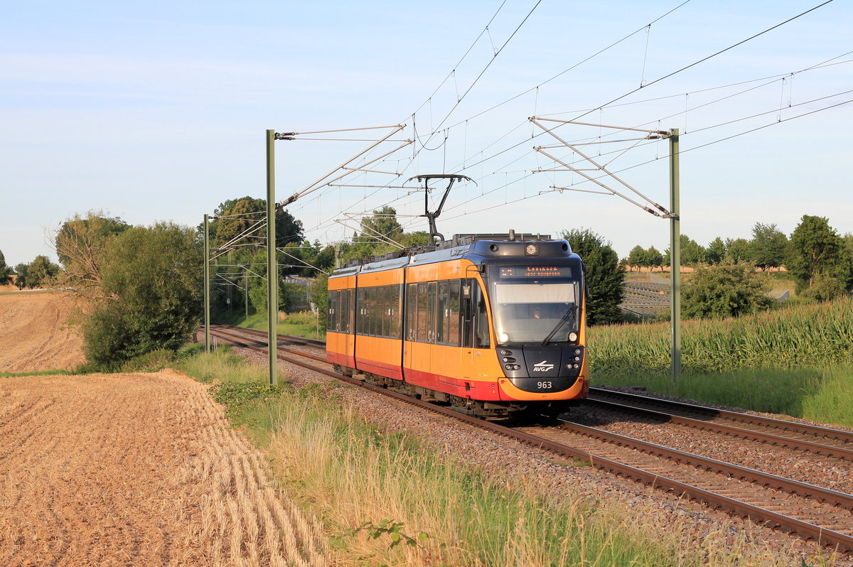 450 963 als S4 Öhringen-Cappel - Eppingen am 25.07.2020 zwischen Öhringen West und Bitzfeld. Grüße gehen auch an den TF.