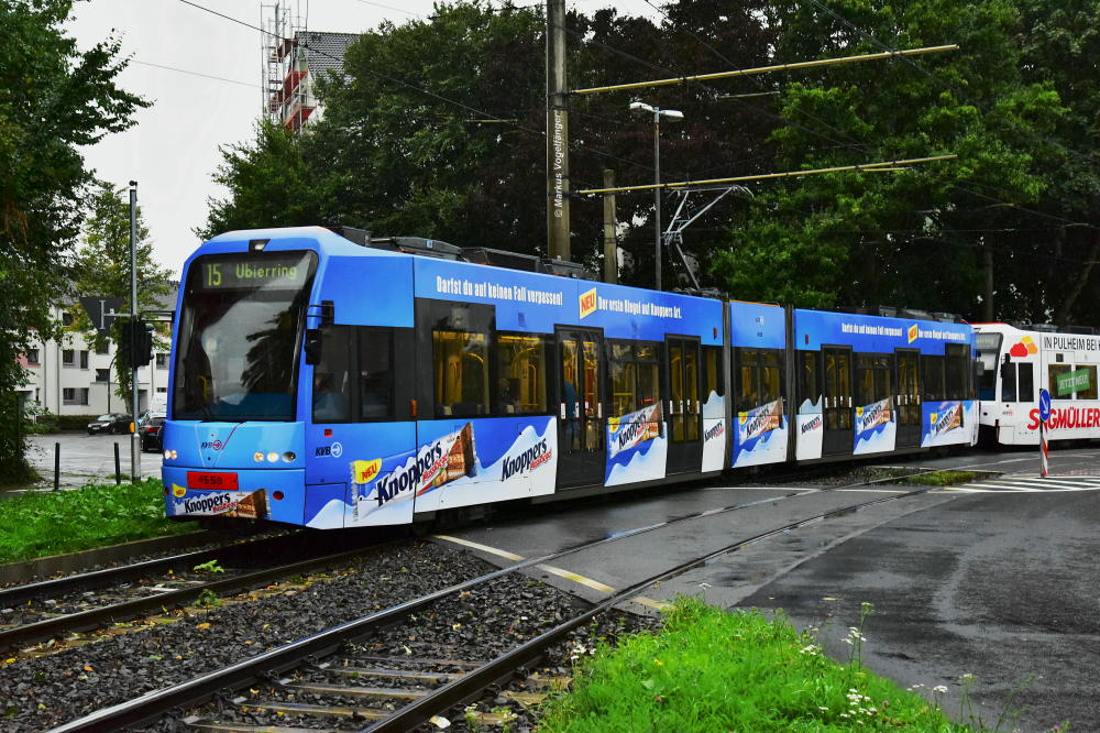 4558 wurde eine neue Ganzreklame  Knoppers Nuss Riegel  angebracht. Hier zu sehen auf der Wilhelm-Sollmann-Straße am 14.09.2017.
