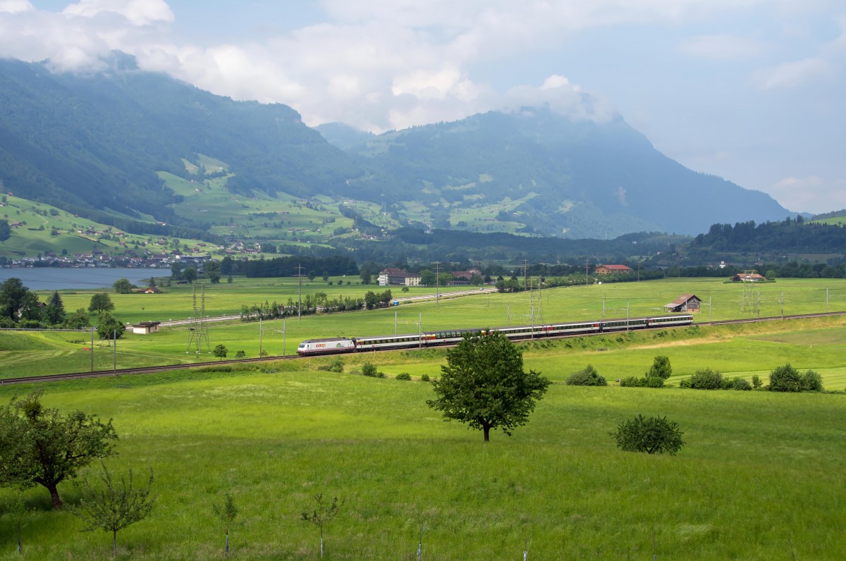 460 083 mit Coop Werbung zieht den IR 2417 Luzern-Locarno.Aufgenommen bei Steinen am 17.6.2015.