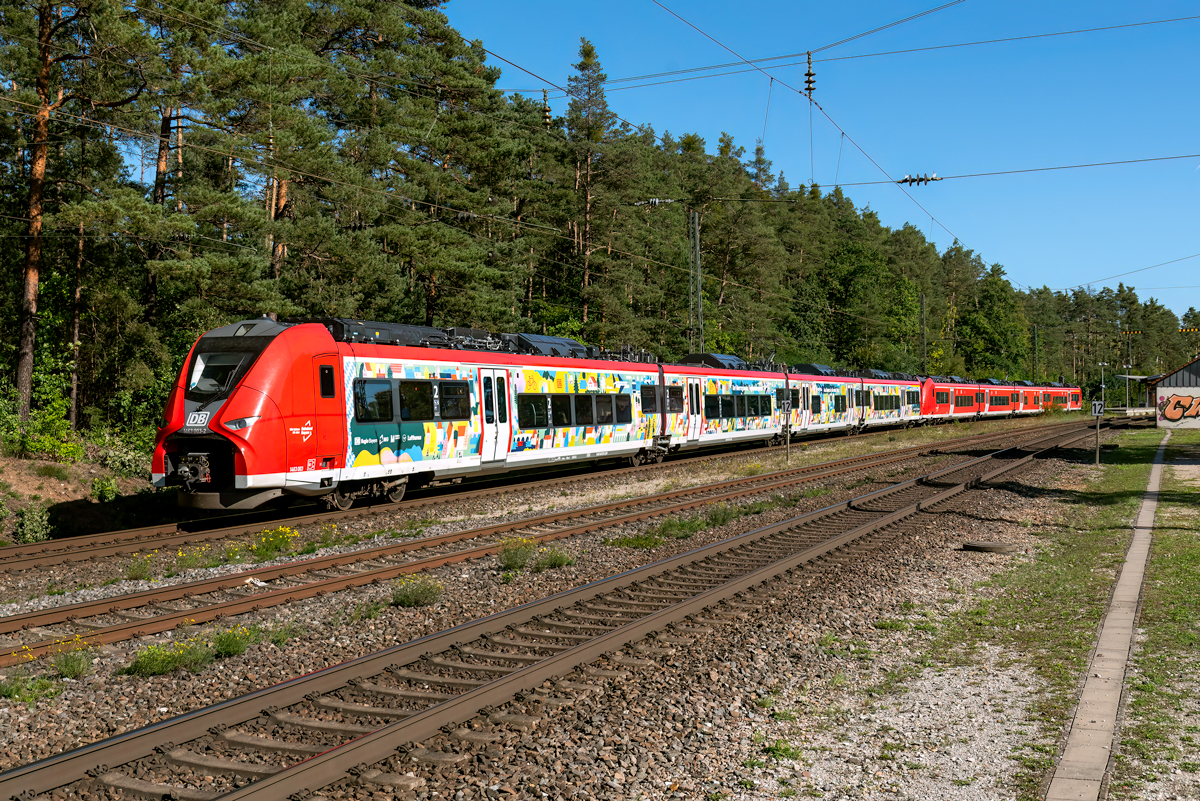 463 003 und 463 502 als RE22 (59492) (Regensburg Hbf - Nürnberg Hbf) bei Ochenbruck 18.9.25. Beklebt ist dieser Triebzug mit  Der überregionale Flughafenexpress aus Bayern in die weite Welt . 