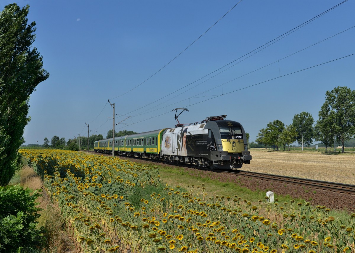 470 501 mit D 9207 nach Budapest Keleti am 28.07.2013 bei Veszkny.