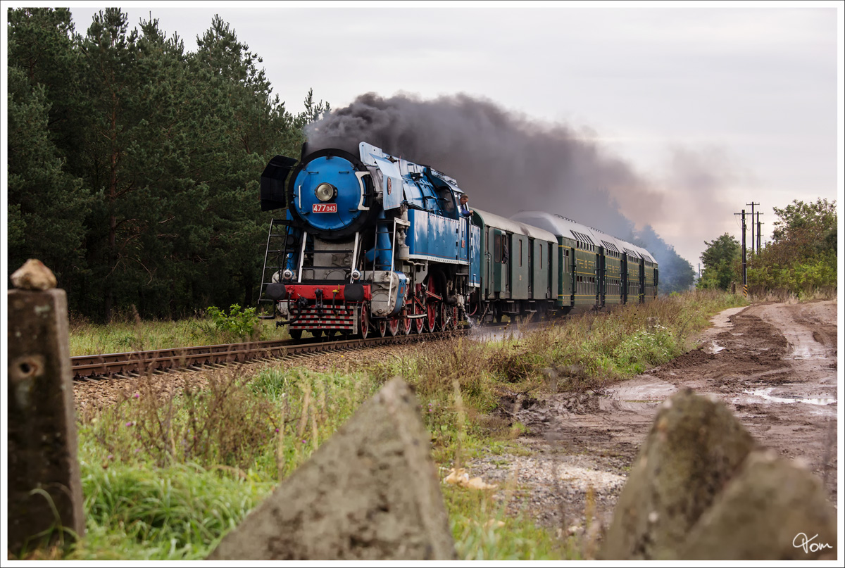 477 043  Papagei  mit einem Sonderzug von Breclav (Lundenburg) nach Hrusovany nad Jevisovkou, bei den Feierlichkeiten  175 Jahre Eisenbahn in Tschechien  in Breclav.  
Valtice  27_9_2014