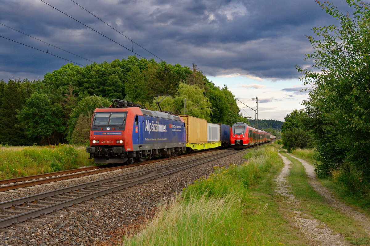 482 013 SBB Cargo mit dem stark verspäteten DGS	88130 (Regensburg Ost - Dradenau) bei Postbauer-Heng, 24.07.2020
