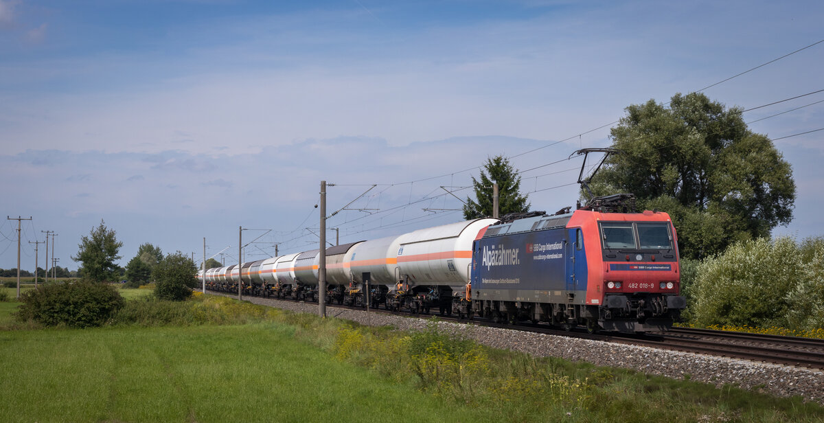 482 018-9 - Laubenzedel 12.08.21