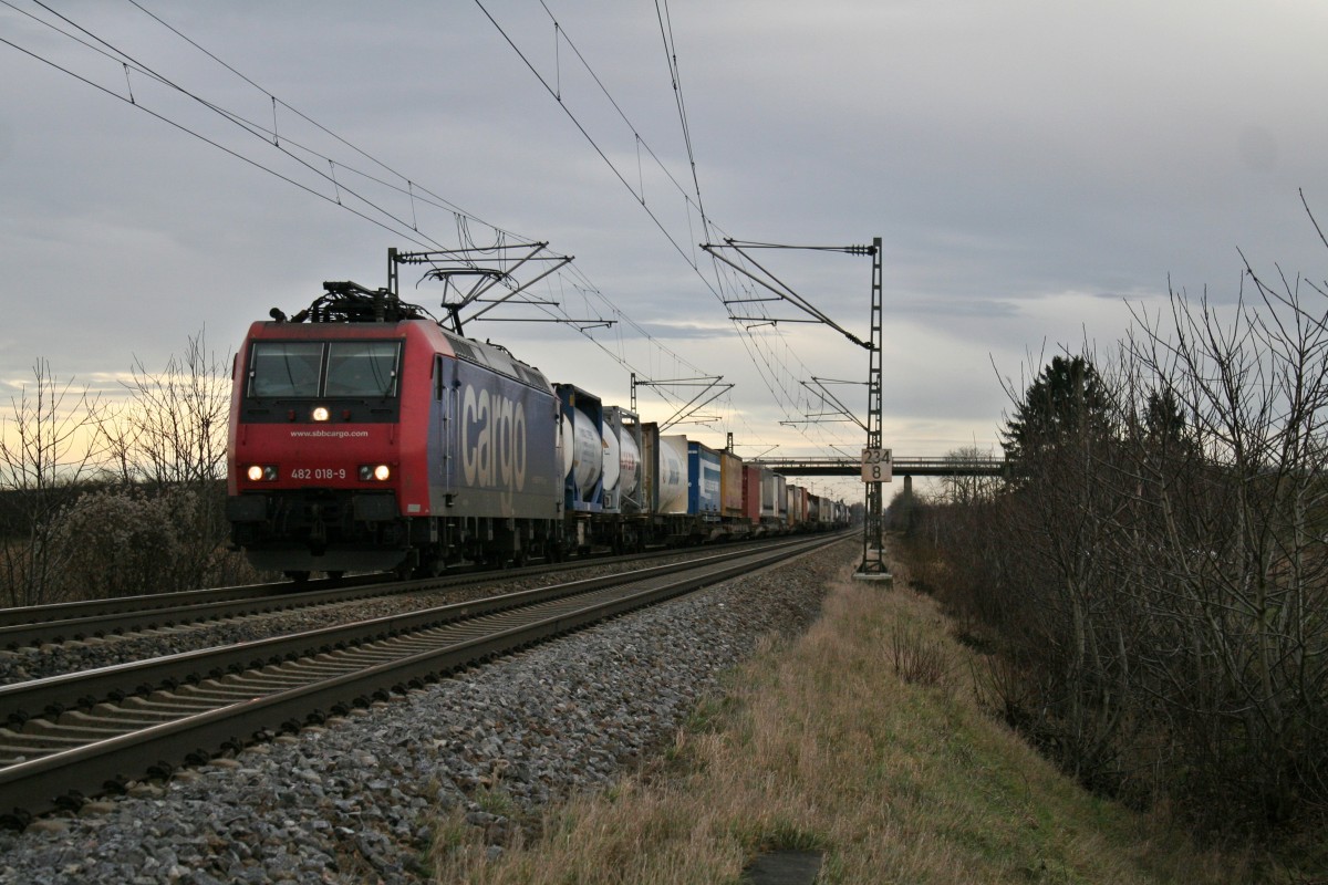 482 018-9 mit einem KLV-Zug gen Sden am Nachmittag des 06.01.14 bei Hgelheim.