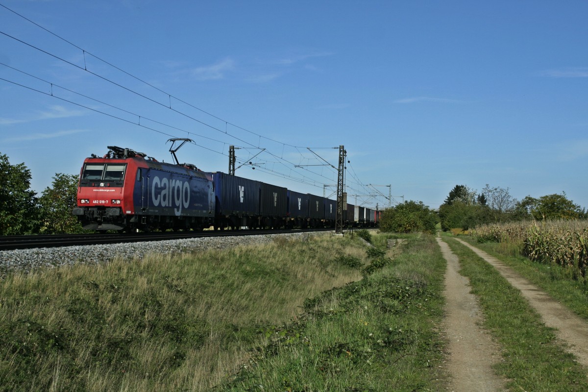 482 019-7 mit einem Containerzug gen Sden am Nachmittag des 19.10.13 bei Hgelheim.