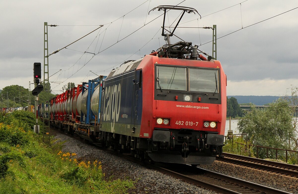 482 019 der SBB Cargo am 19.08.2021 bei Königsbach auf der linken Rheinstrecke in Richtung Süden