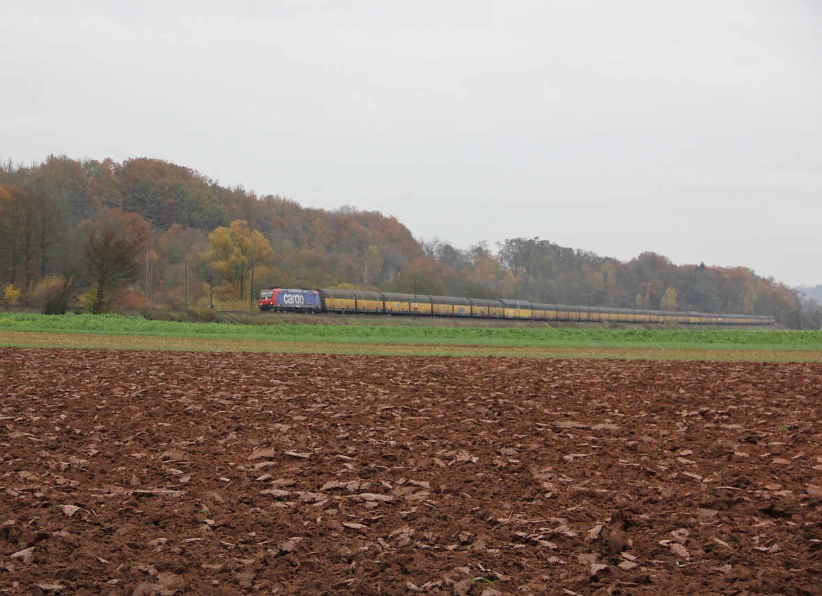 482 031-2 mit geschlossenen ARS Autotransportwagen in Fahrtrichtung Süden. Aufgenommen bei Wehretal-Reichensachsen am 17.11.2013.