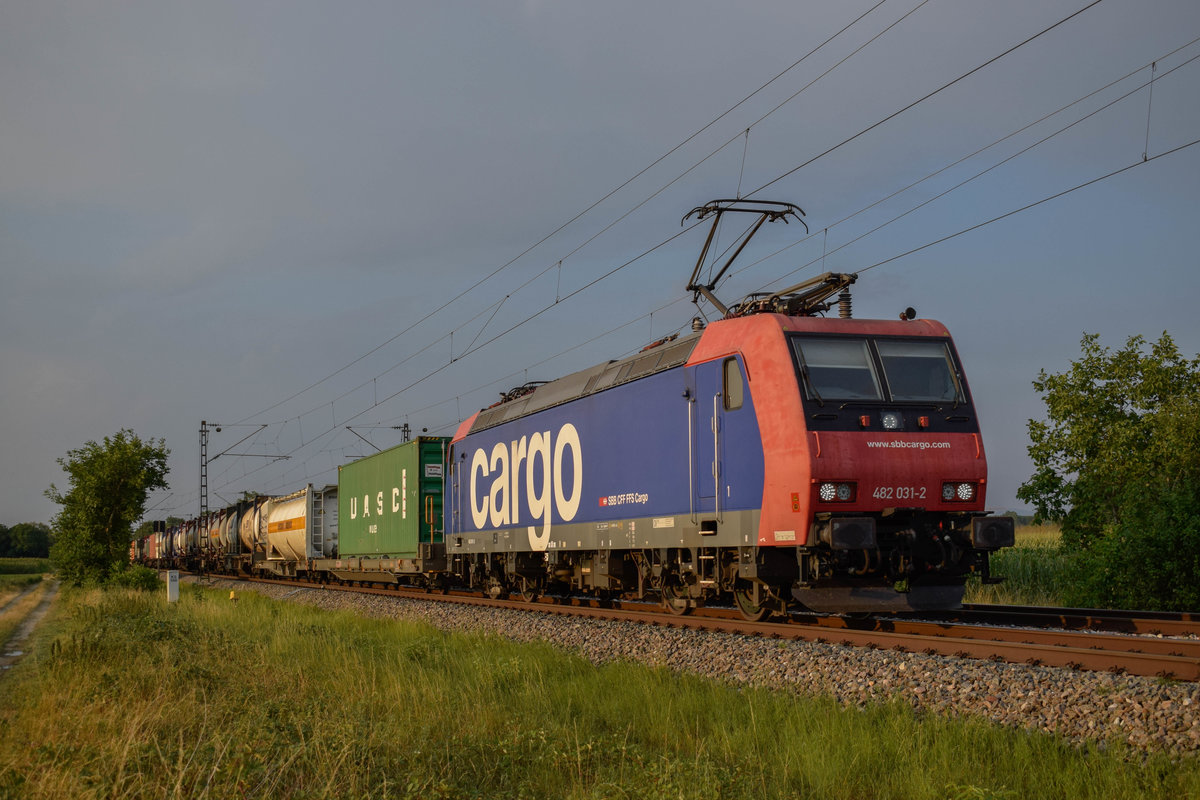 482 031 hatte am 25.07.2018 mit einem KV-Zug zu tun, als sie südlich des Hp Buggingen am Fotografen vorbei rollte.