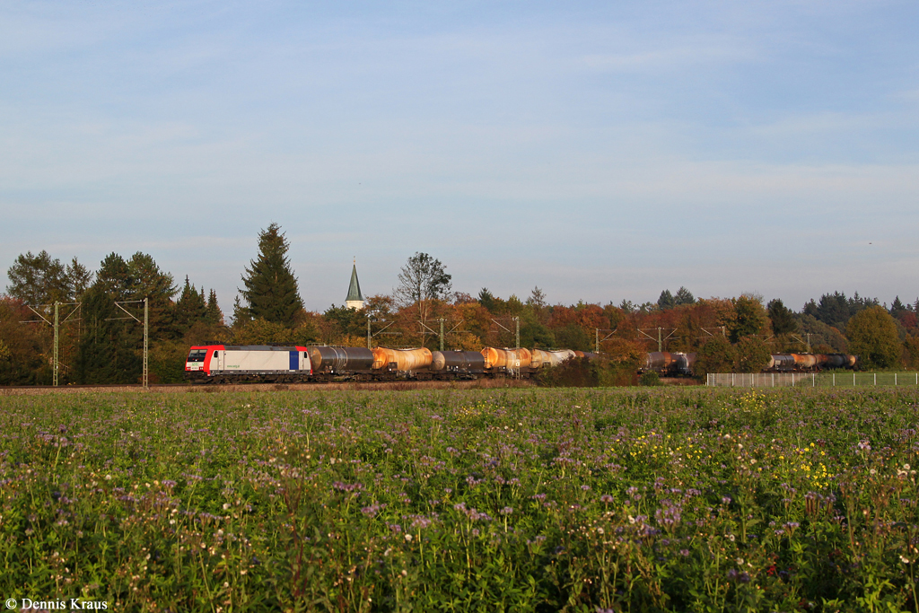 482 042 mit Kesselzug am 12.10.2014 bei Eglharting.