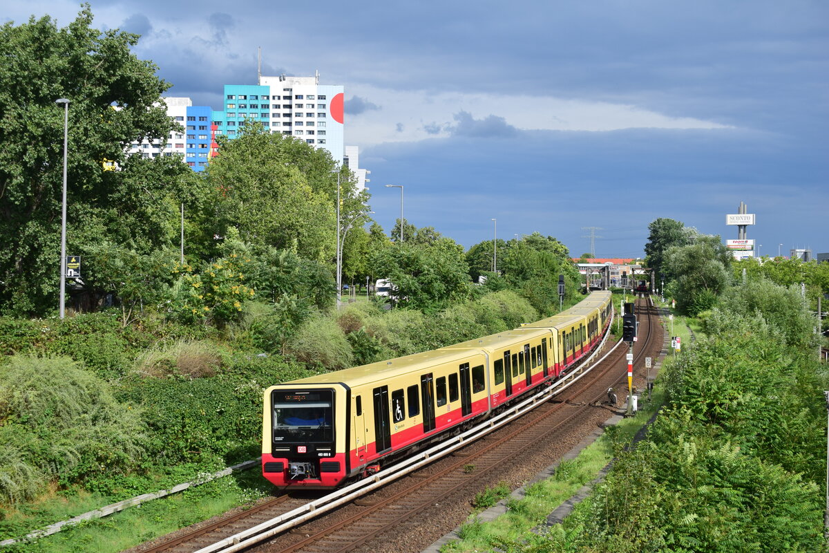 483 005 fährt als S42 von Storkower Straße kommend Richtung Landsberger Allee.

Berlin 25.07.2023