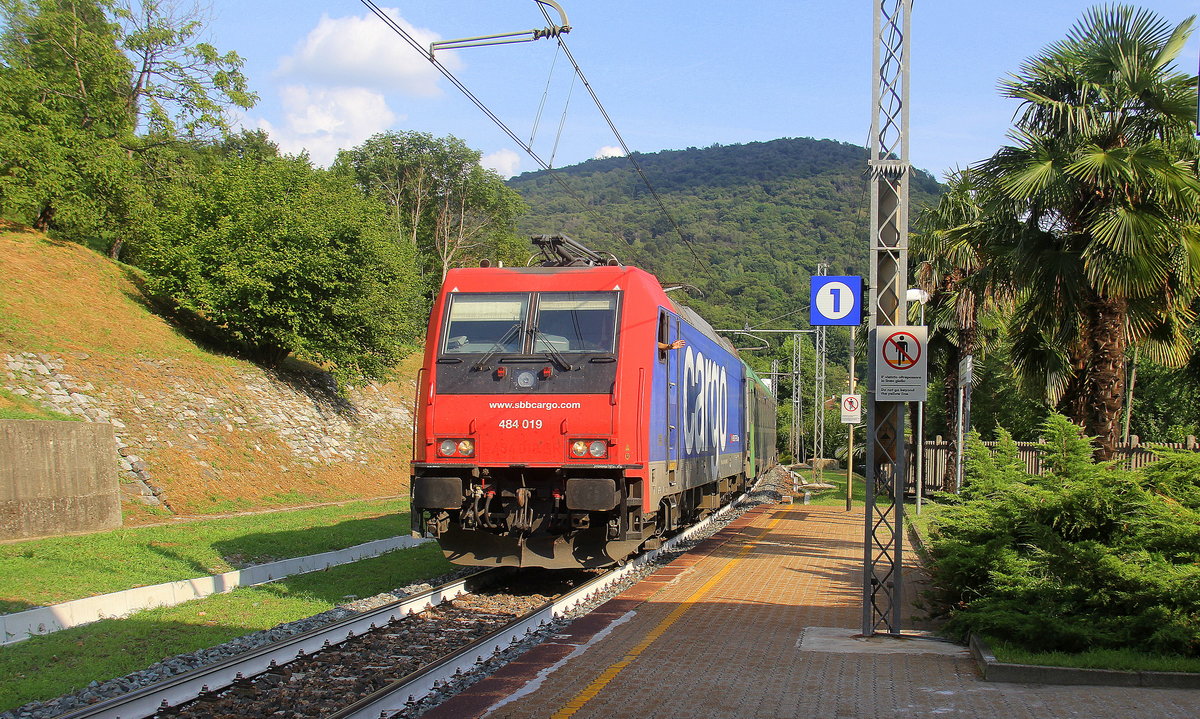 484 019-5 von SBB-Cargo kommt mit der rollende Landstraße aus Novara Boschetto)(I) nach Freiburg-(Brsg)Rbf(D) und fährt durch Pettenasco(I) in Richtung Domodossola(I). 
Aufgenommen von Bahnsteig 1 in Pettenasco(I).
Bei Sommerwetter am Nachmittag vom 31.7.2019.