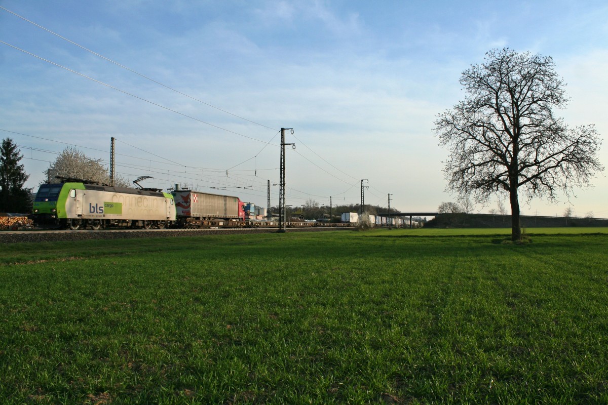 485 001-2 mit der RoLa (DGS) 43614 von Novara nach Freiburg (Breisgau) Gbf am Abend des 27.03.14 s�dlich des Haltepunktes Auggen.