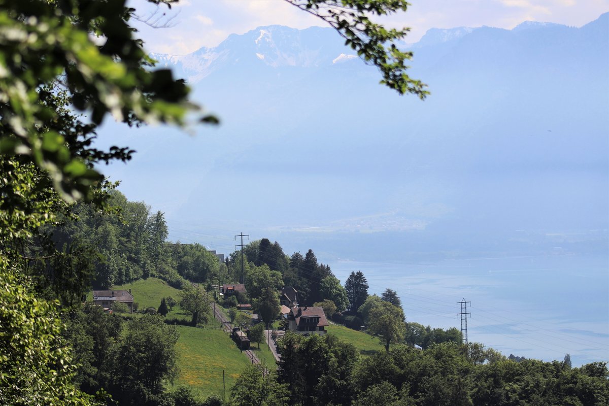 50 Jahre Blonay - Chamby: FESTIVAl OFF
Einen kleinen Blick auf den Lac Léman: In der Bildmitte durchfährt die JS G 3/3 909 und die SBB G 3/4 Nr. 208 der BDB Dampfbahn Ballenberg mit einem Dampfzug den Haltepunkt Cornaux.

Freitag, 11. Mai 2018