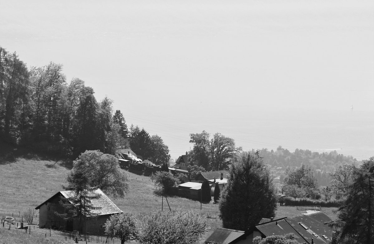 50 Jahre Blonay - Chamby: FESTIVAL OFF
Einen kleinen Blick auf den Lac Léman: In der Bildmitte durchfahren die Blonay-Chamby BFD HG 3/4 Nr. 3 und die FO HG 3/4 Nr. 4 mit einem Dampfzug den Haltepunkt Cornaux. Freitag, 11. Mai 2018